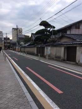 2018,2京都タカシマヤ3.JPG